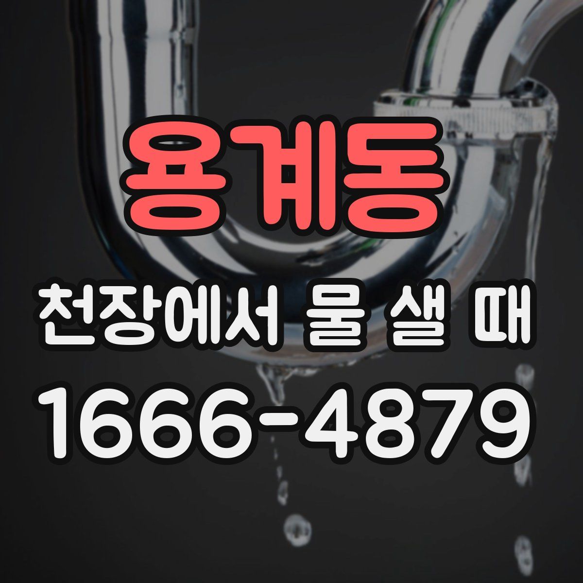 용계동 천장에서 물 샐 때