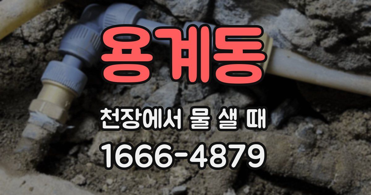용계동 천장에서 물 샐 때