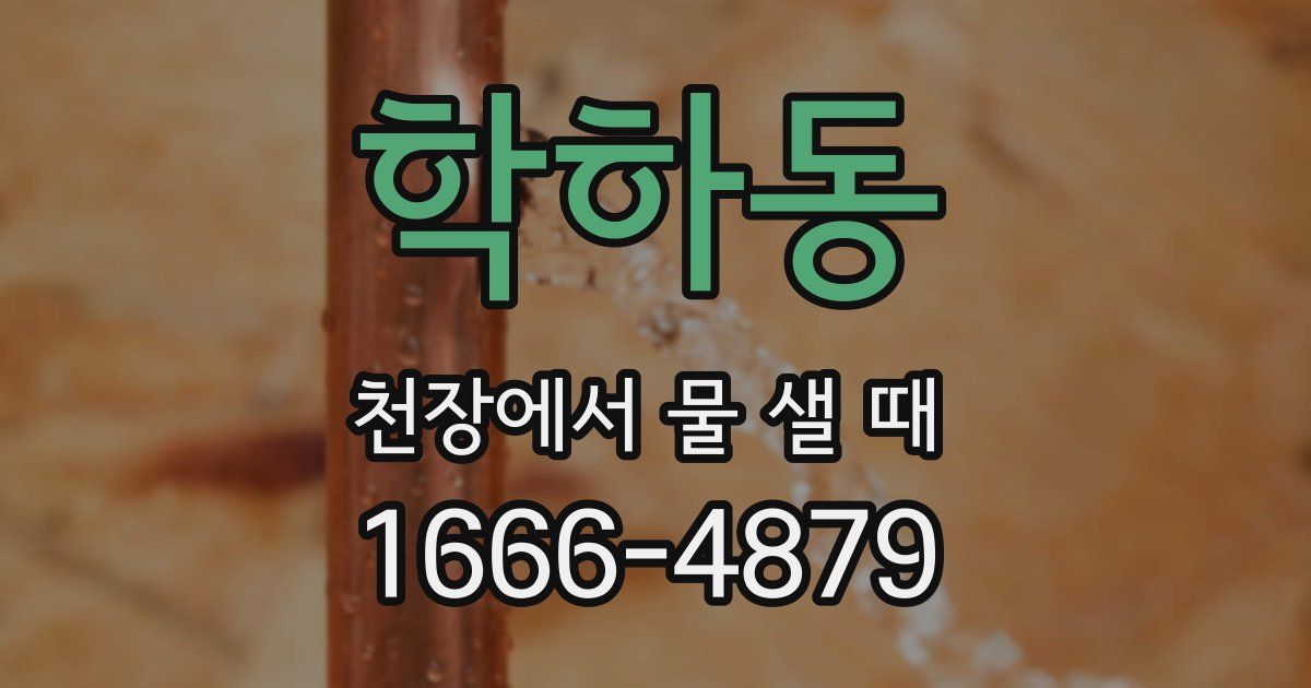 학하동 천장에서 물 샐 때