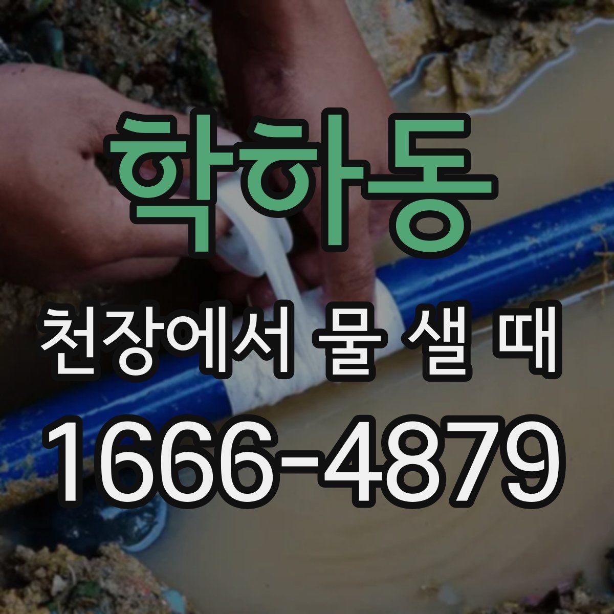 학하동 천장에서 물 샐 때
