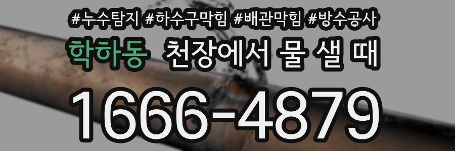 학하동 천장에서 물 샐 때
