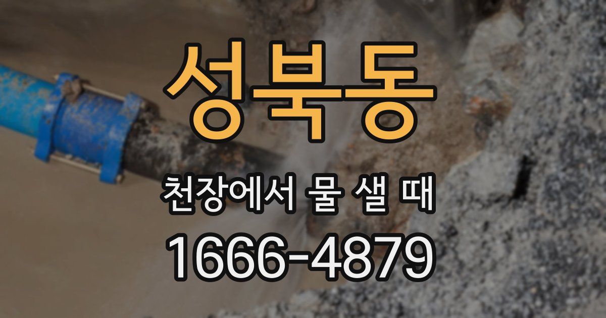 성북동 천장에서 물 샐 때