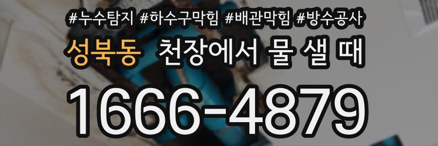 성북동 천장에서 물 샐 때