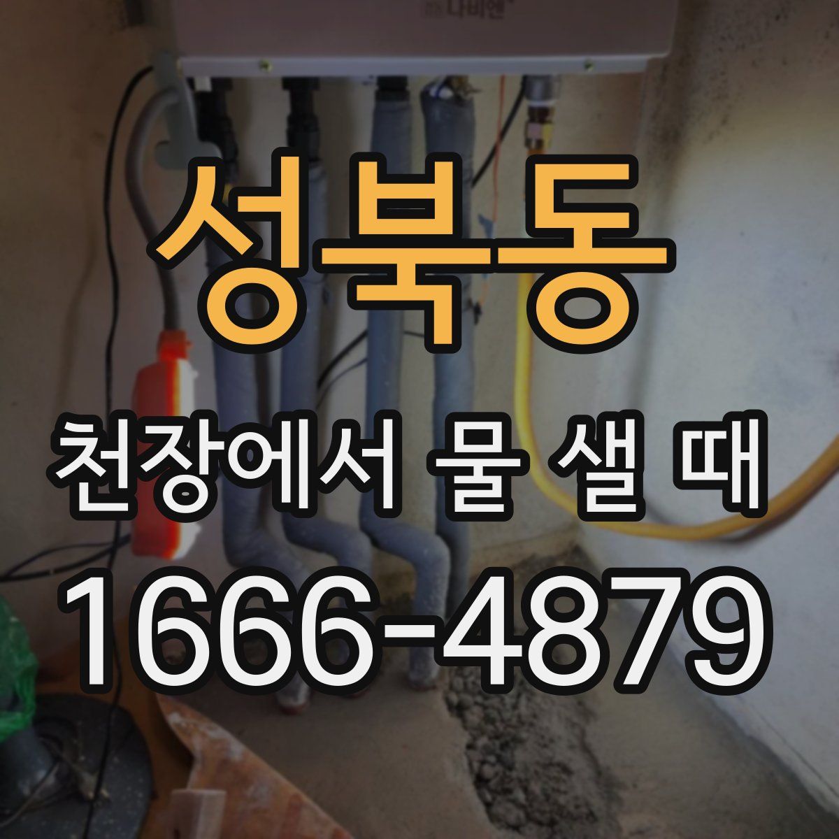 성북동 천장에서 물 샐 때