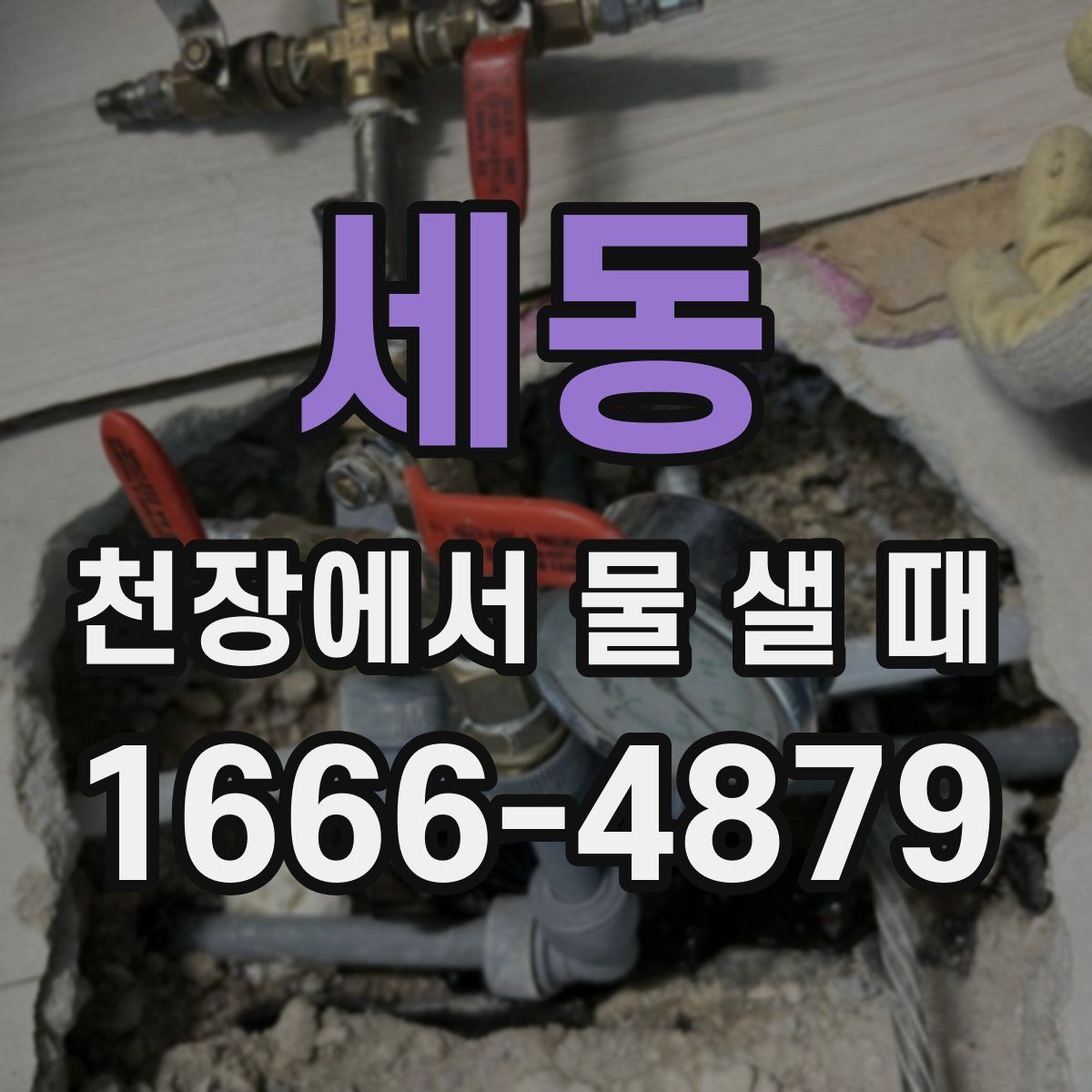 세동 천장에서 물 샐 때