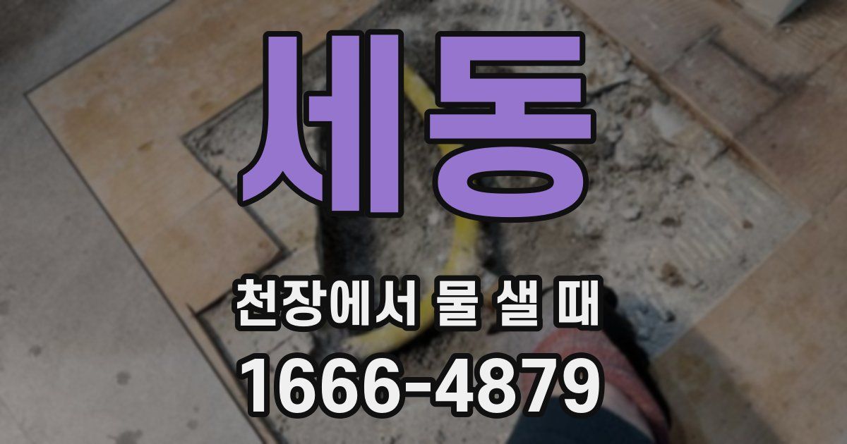 세동 천장에서 물 샐 때