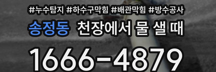 송정동 천장에서 물 샐 때