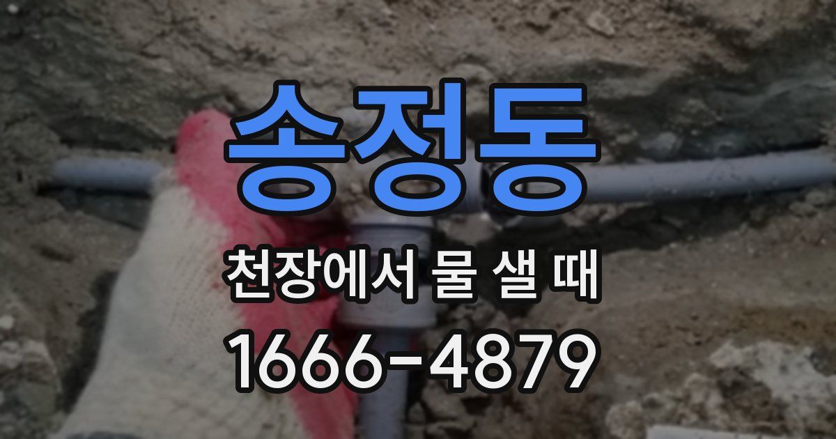 송정동 천장에서 물 샐 때