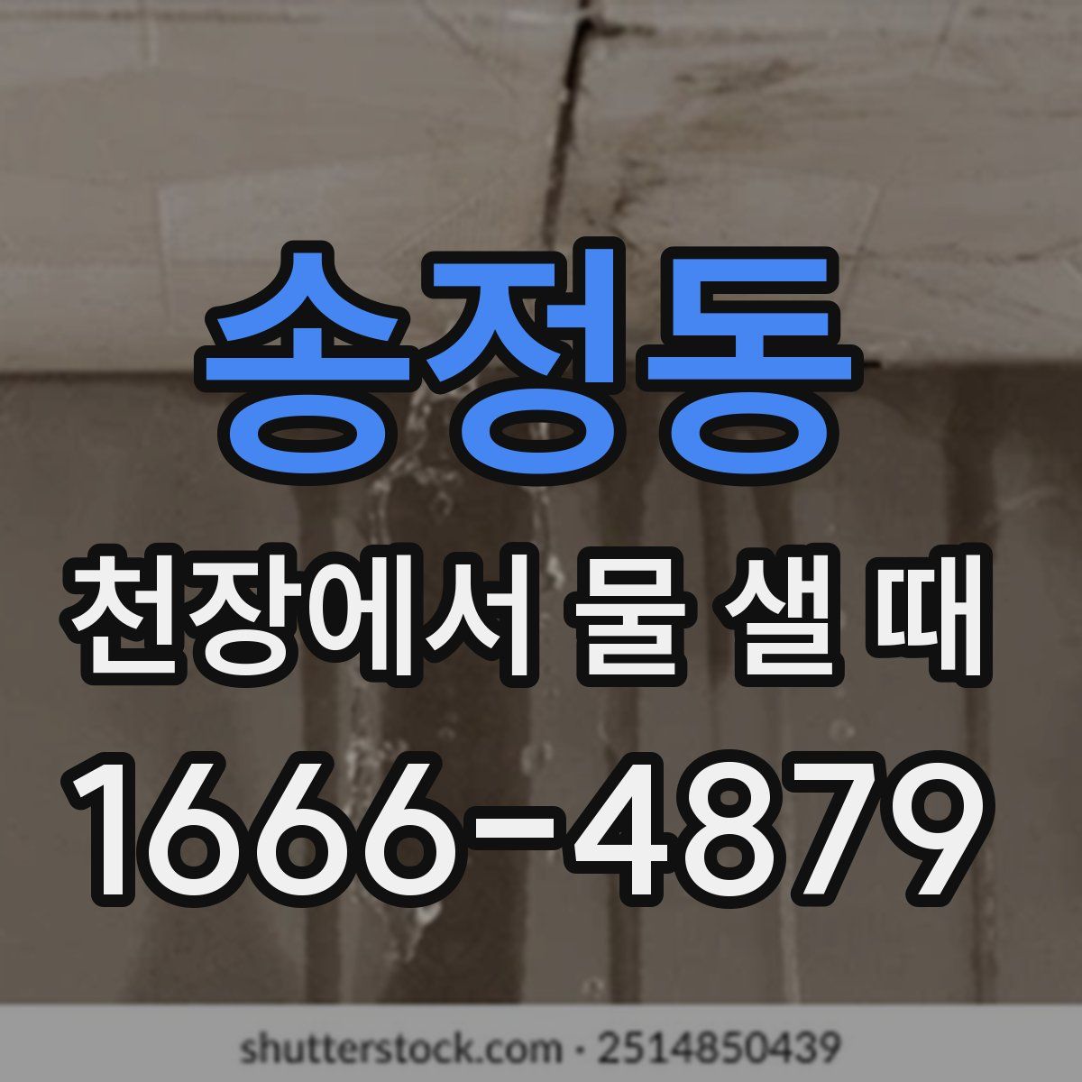 송정동 천장에서 물 샐 때