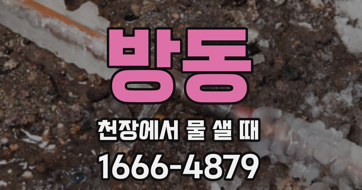 방동 천장에서 물 샐 때