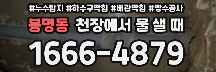 봉명동 천장에서 물 샐 때