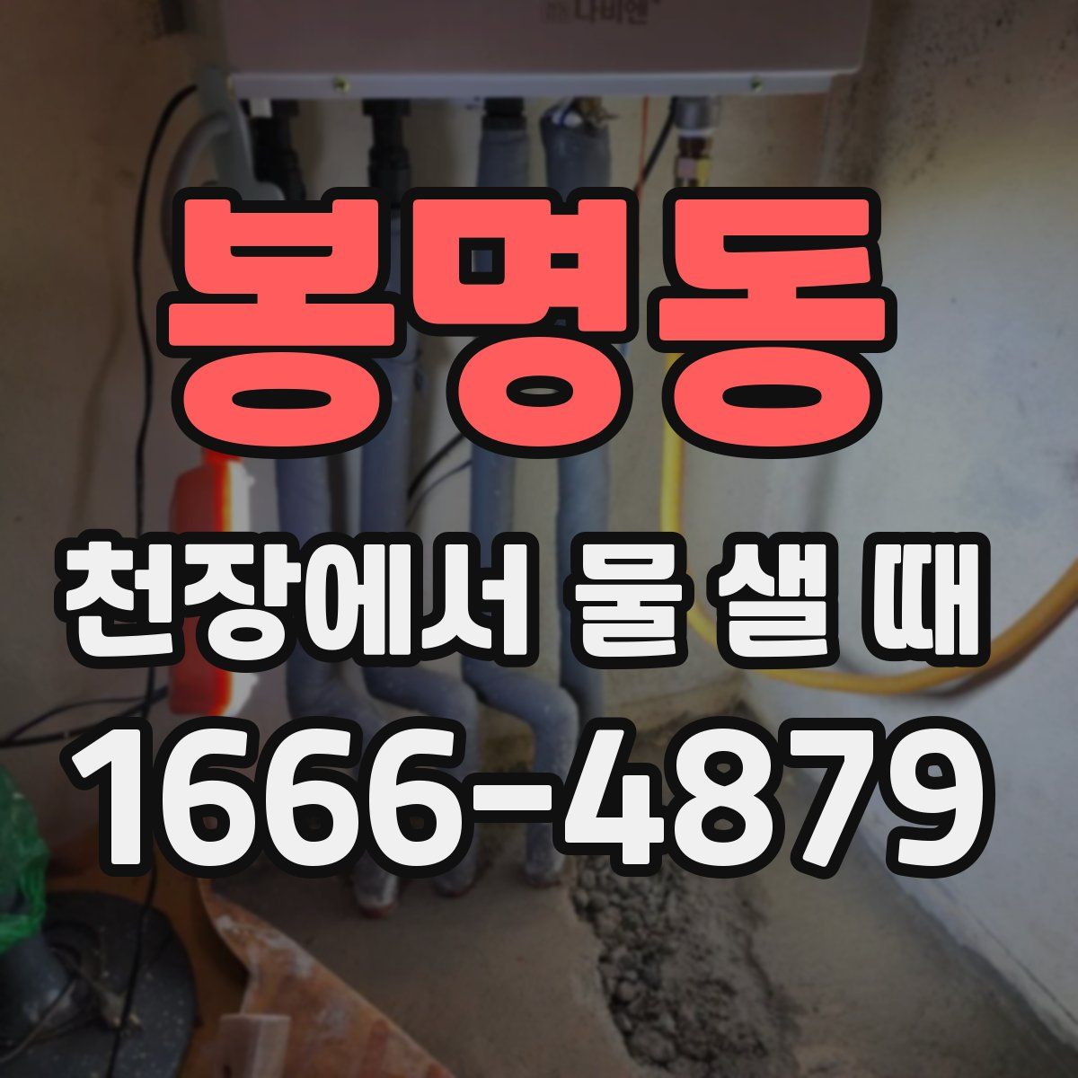 봉명동 천장에서 물 샐 때