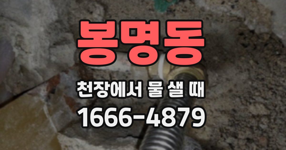 봉명동 천장에서 물 샐 때