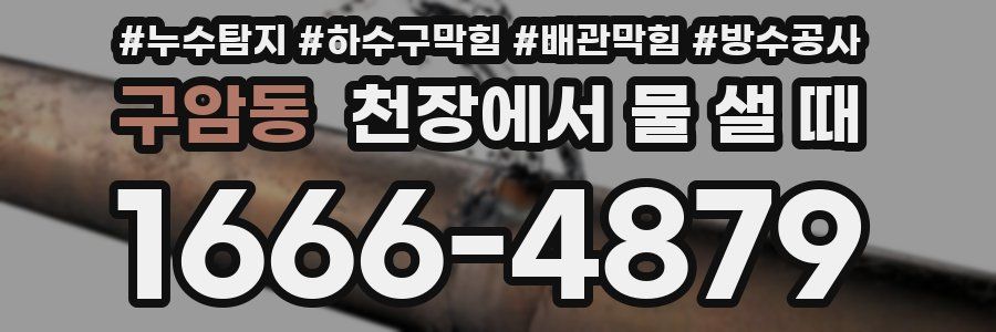구암동 천장에서 물 샐 때