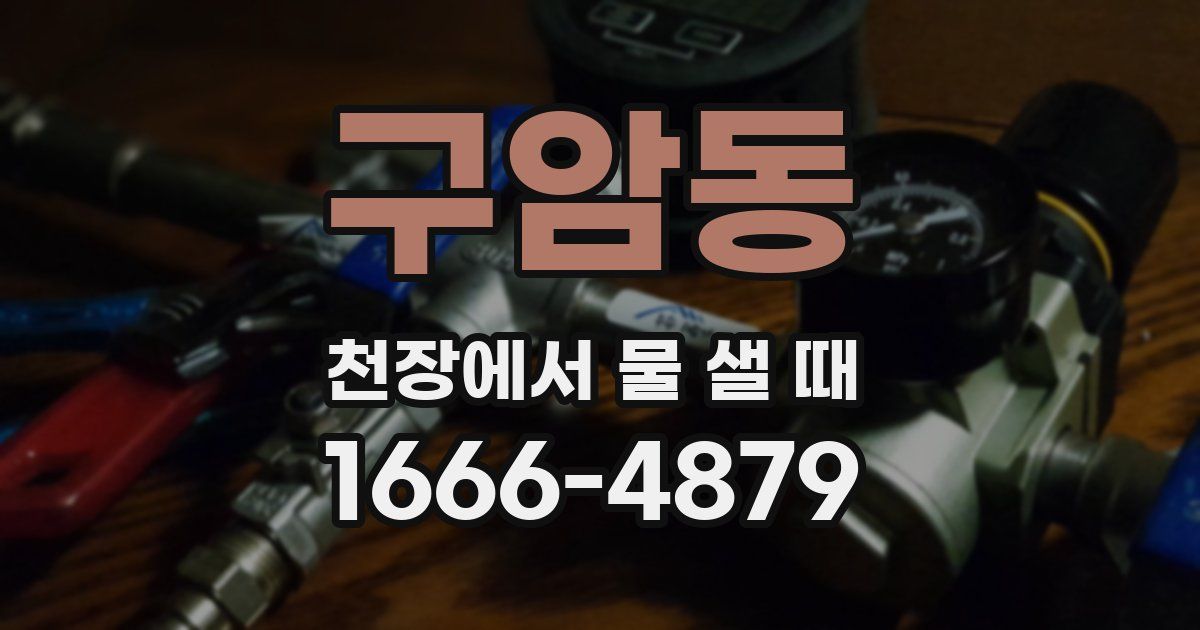 구암동 천장에서 물 샐 때