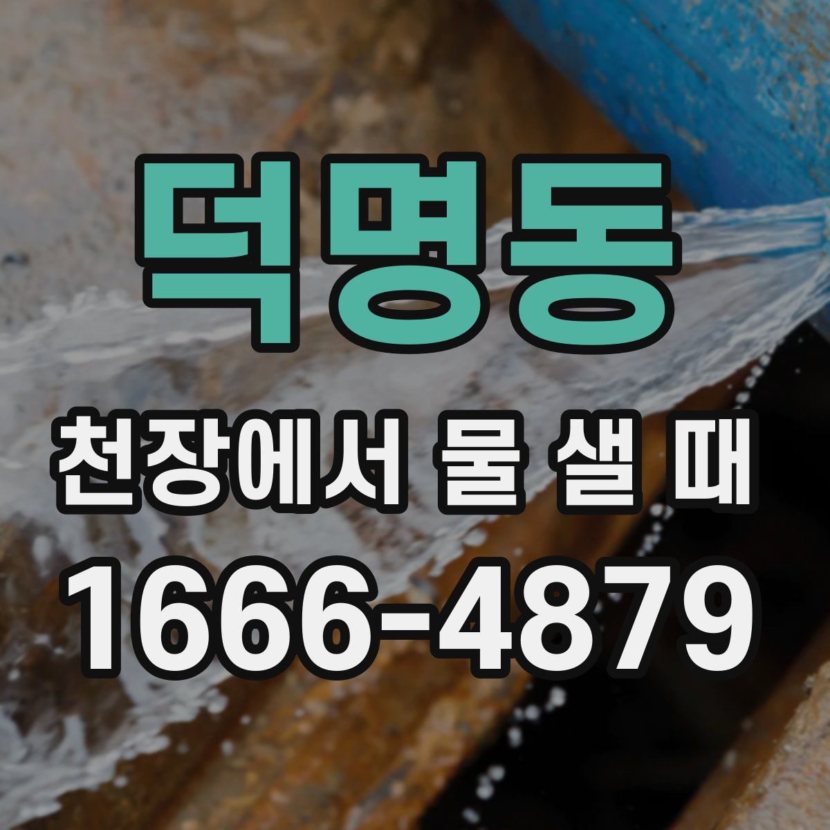 덕명동 천장에서 물 샐 때