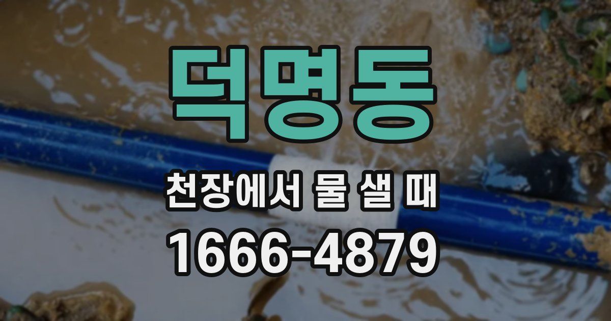덕명동 천장에서 물 샐 때