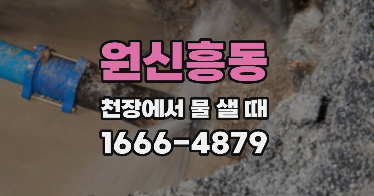원신흥동 천장에서 물 샐 때