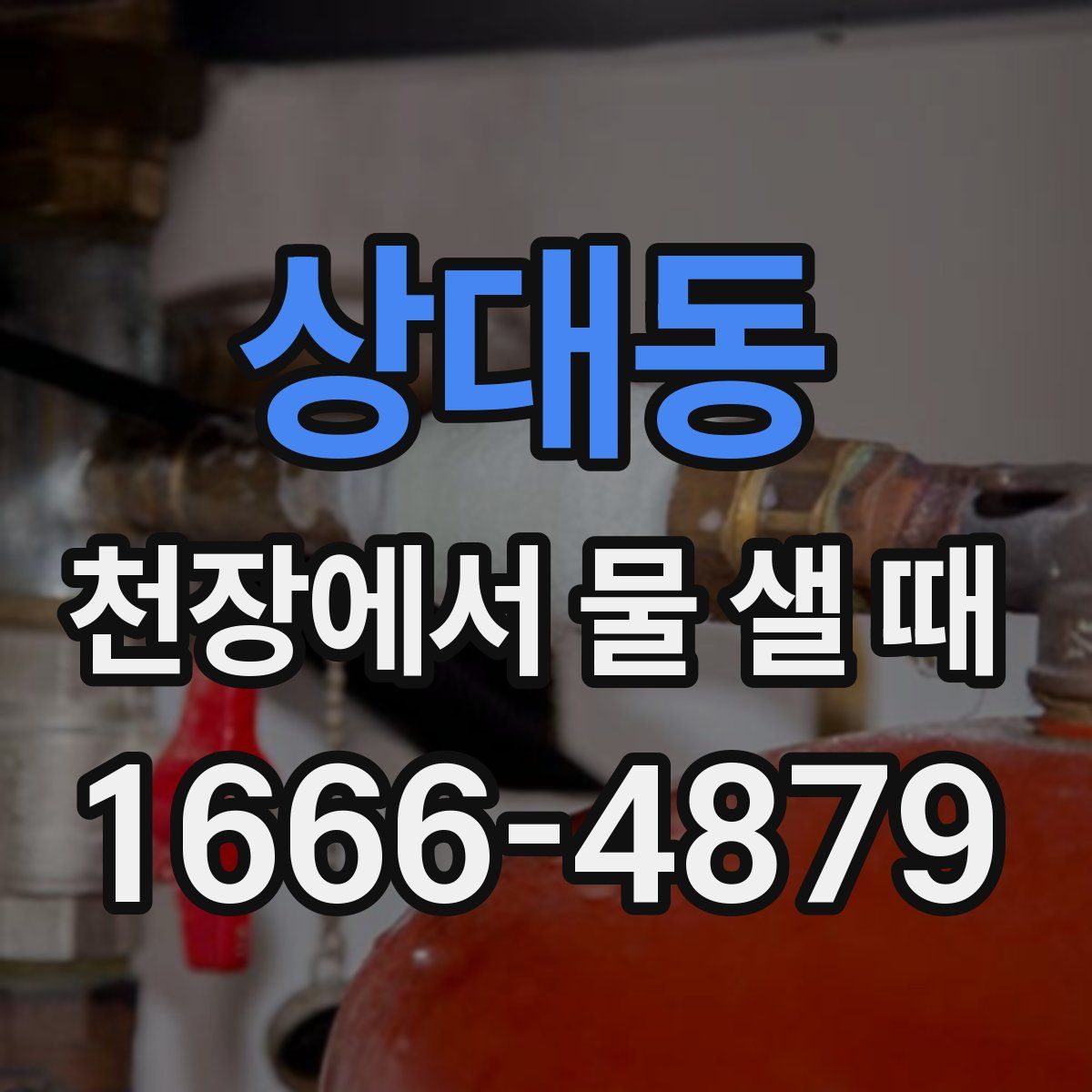 상대동 천장에서 물 샐 때