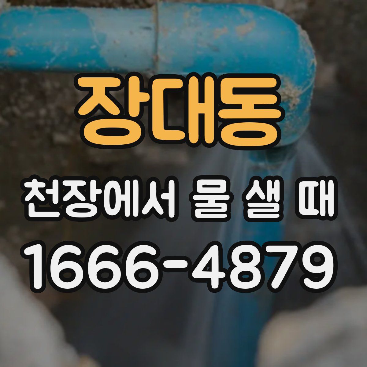 장대동 천장에서 물 샐 때