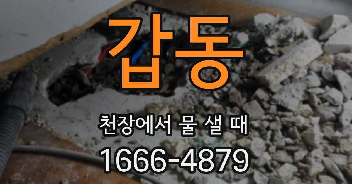 갑동 천장에서 물 샐 때