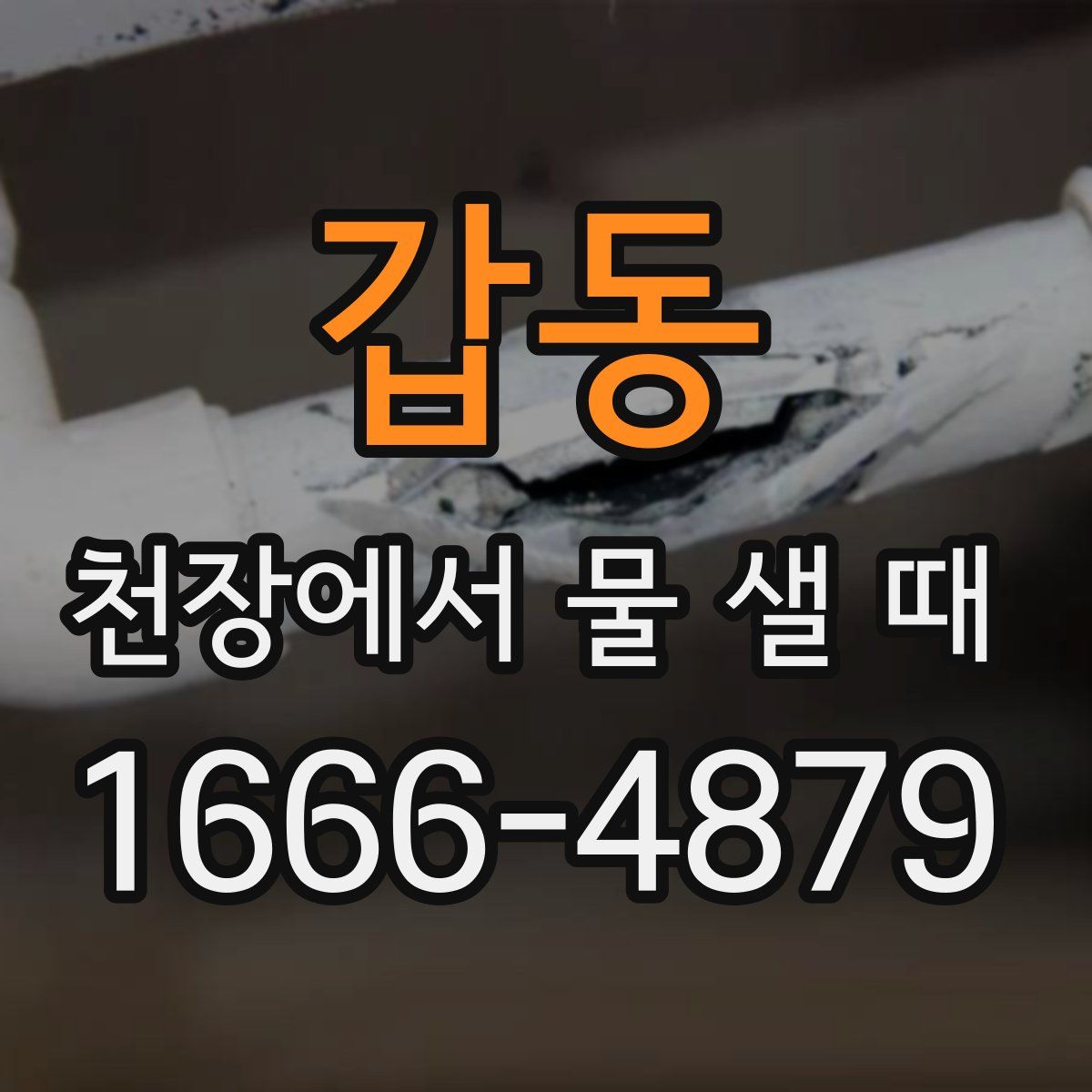 갑동 천장에서 물 샐 때