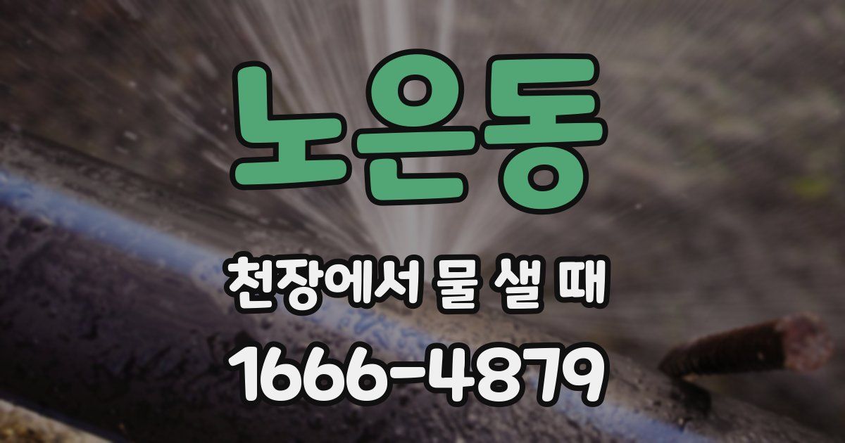노은동 천장에서 물 샐 때