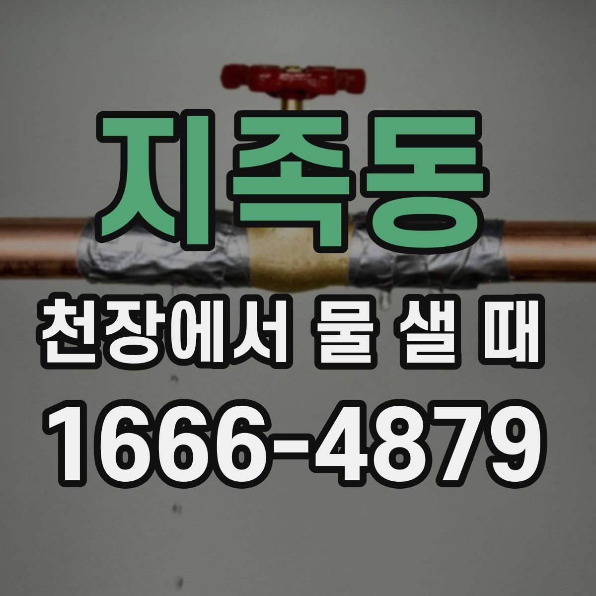 지족동 천장에서 물 샐 때