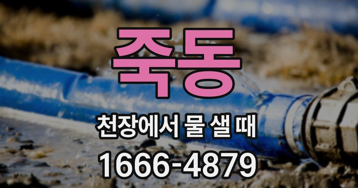 죽동 천장에서 물 샐 때