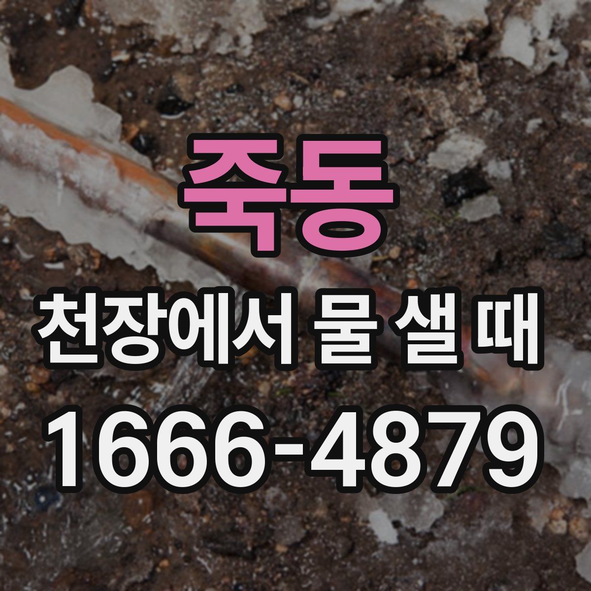 죽동 천장에서 물 샐 때