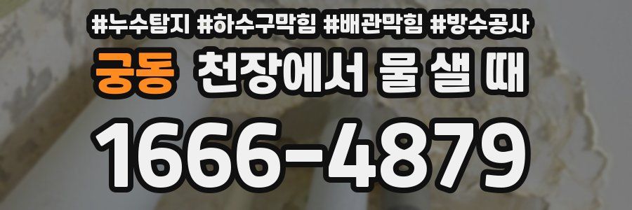 궁동 천장에서 물 샐 때