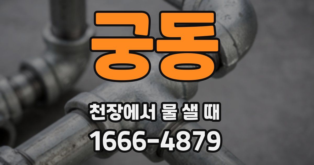 궁동 천장에서 물 샐 때
