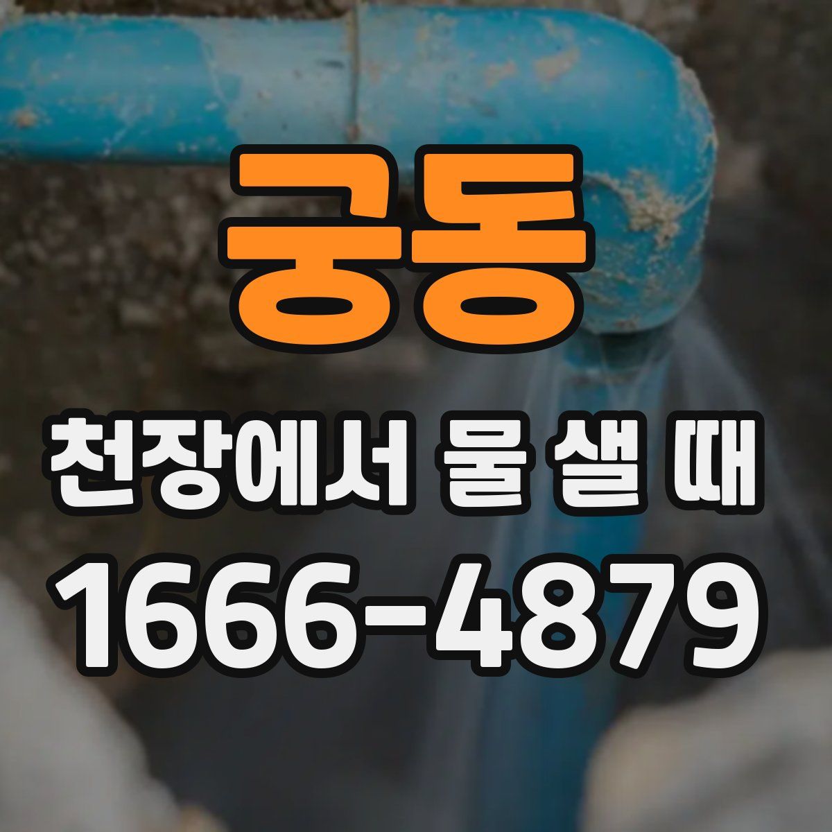 궁동 천장에서 물 샐 때