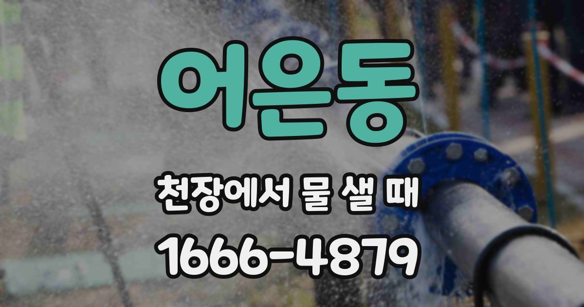 어은동 천장에서 물 샐 때