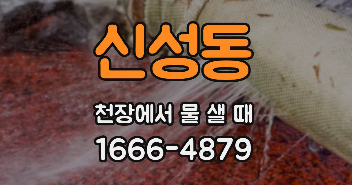 신성동 천장에서 물 샐 때