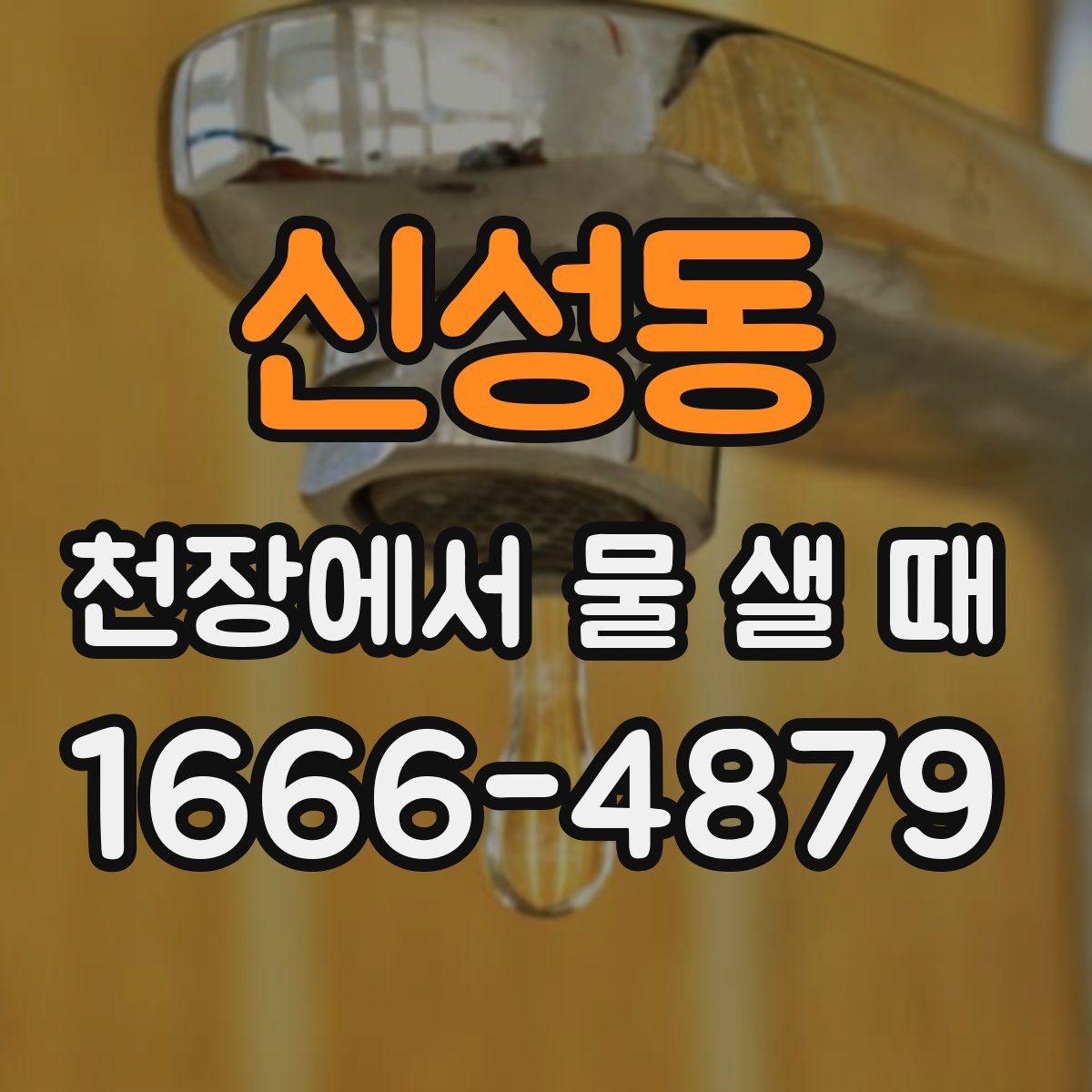 신성동 천장에서 물 샐 때