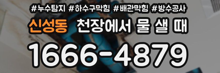 신성동 천장에서 물 샐 때
