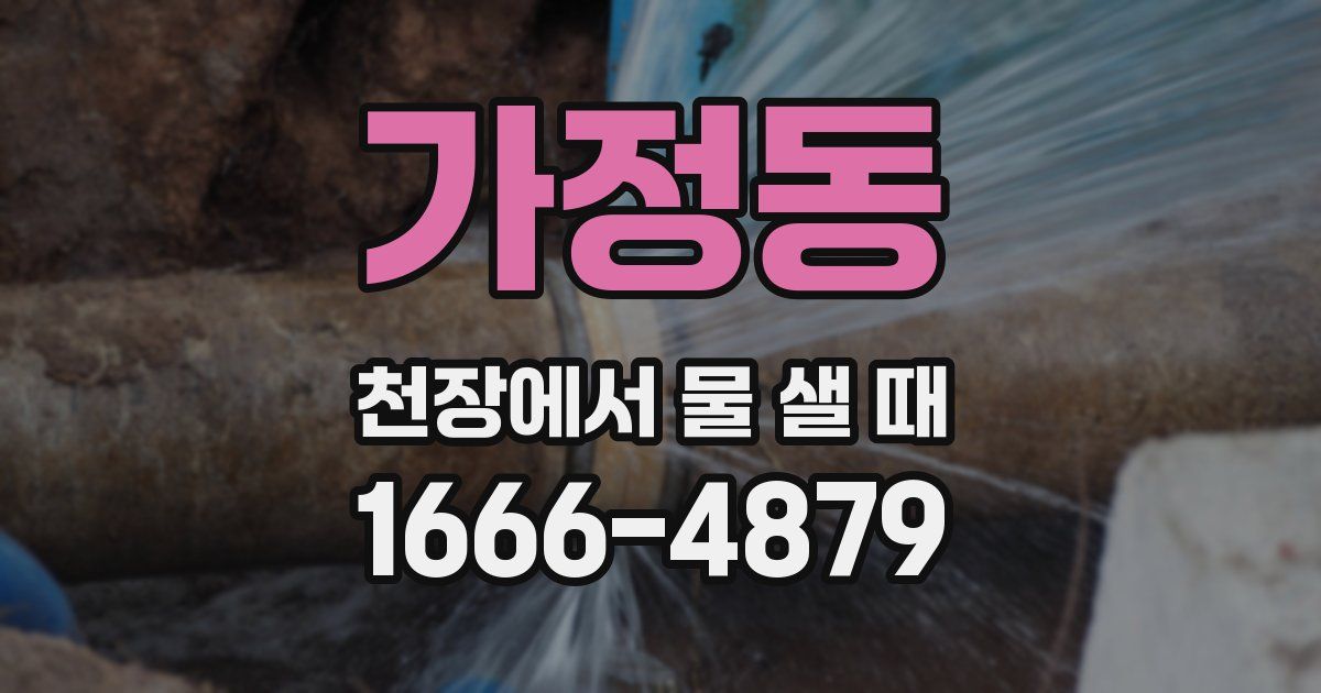 가정동 천장에서 물 샐 때