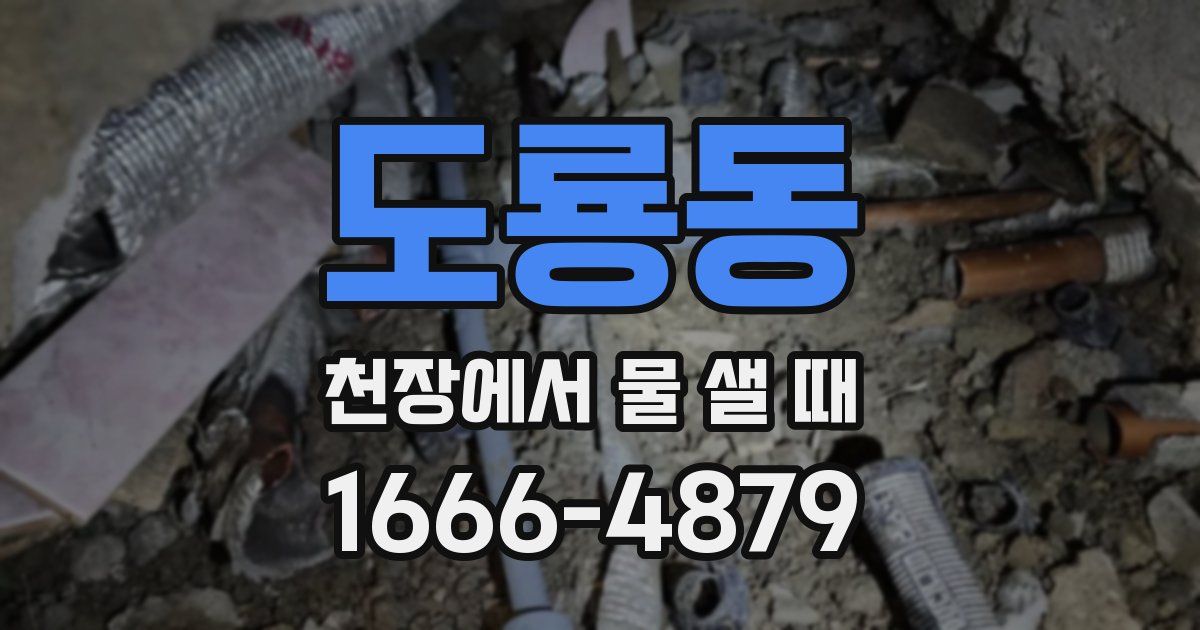 도룡동 천장에서 물 샐 때