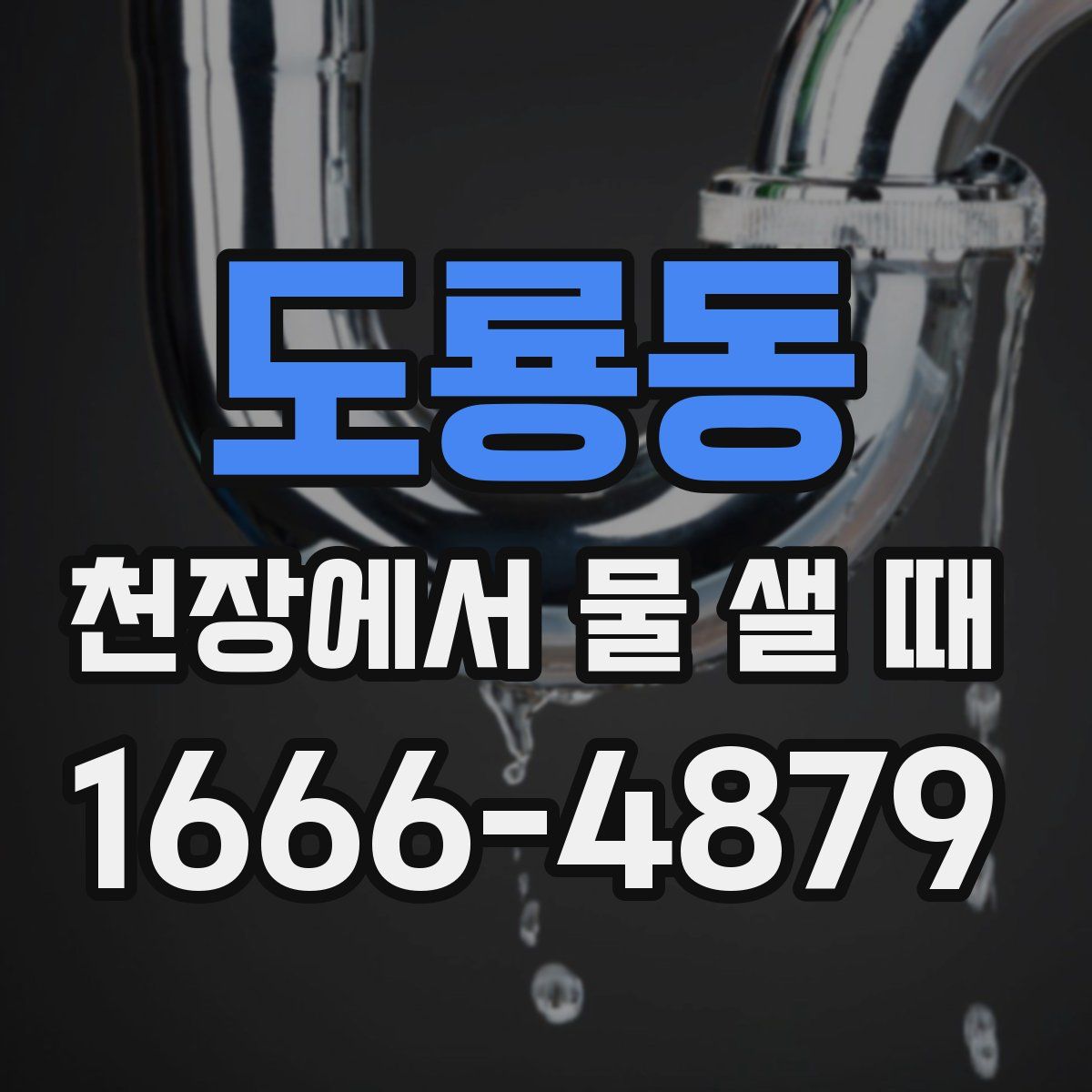 도룡동 천장에서 물 샐 때
