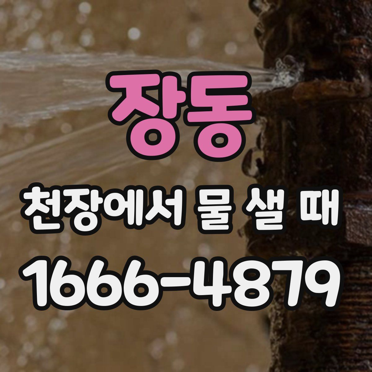 장동 천장에서 물 샐 때