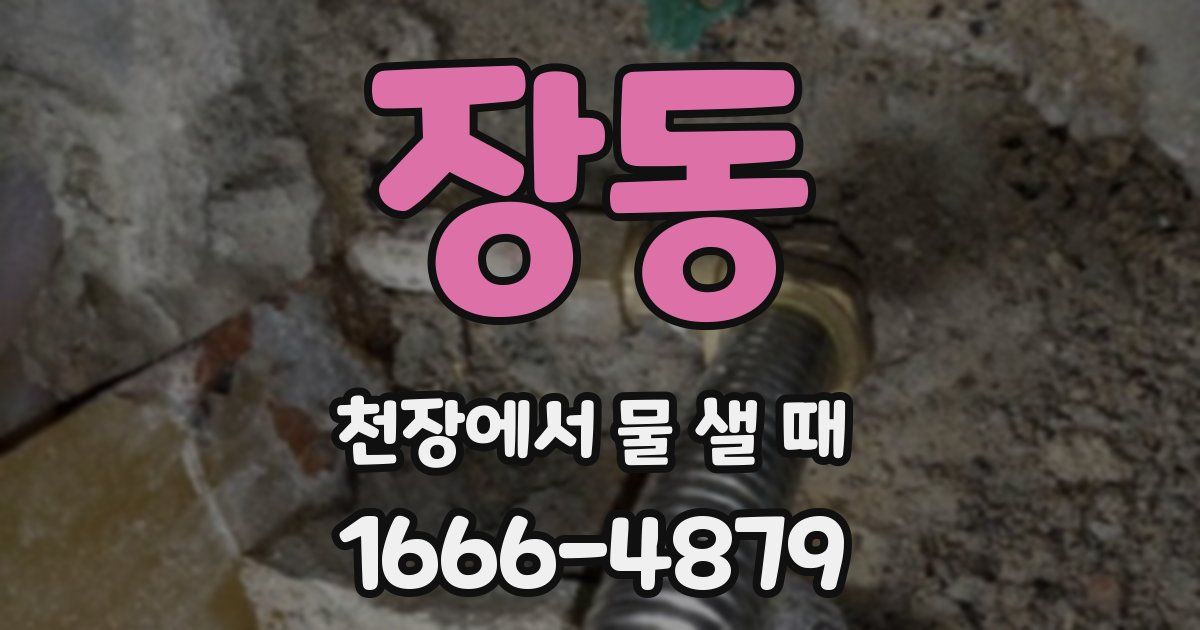 장동 천장에서 물 샐 때