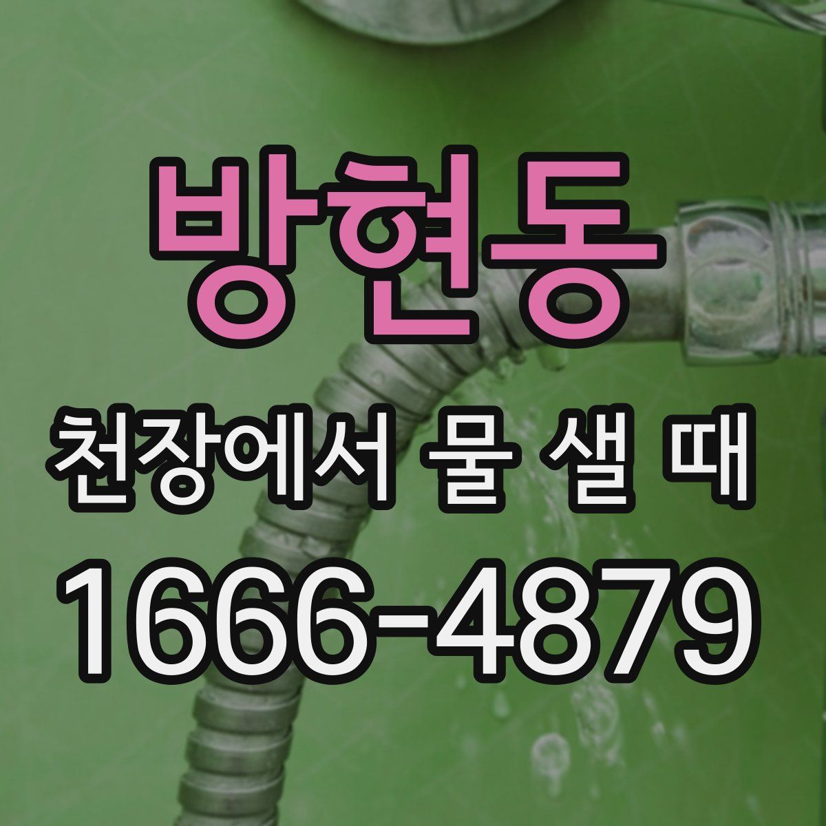 방현동 천장에서 물 샐 때