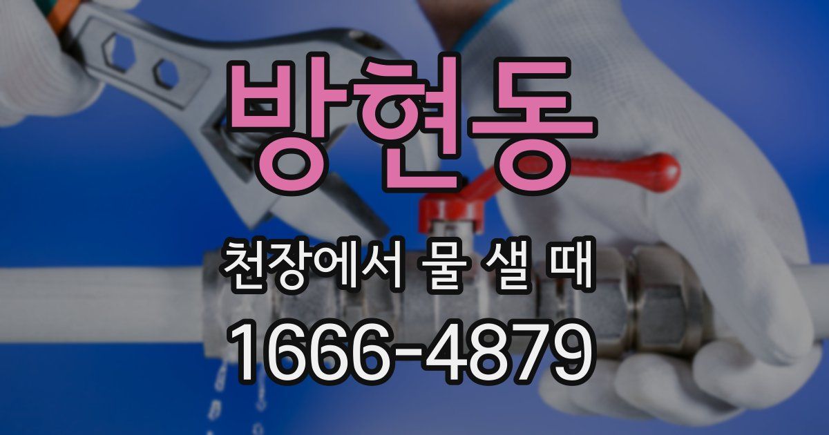 방현동 천장에서 물 샐 때