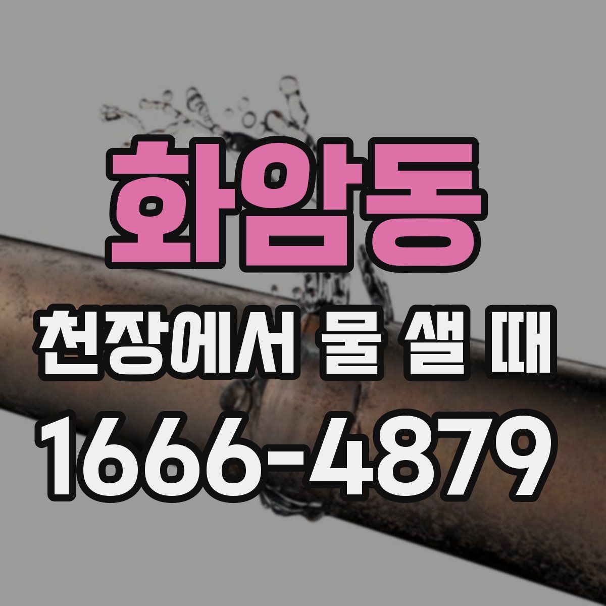 화암동 천장에서 물 샐 때