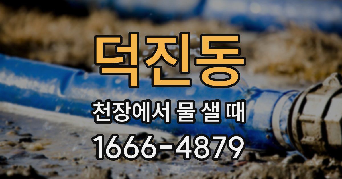 덕진동 천장에서 물 샐 때