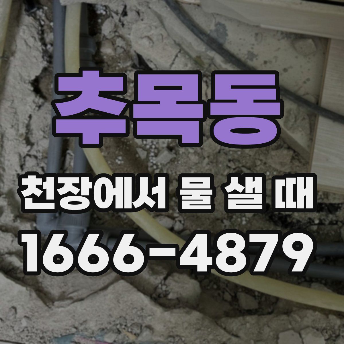 추목동 천장에서 물 샐 때