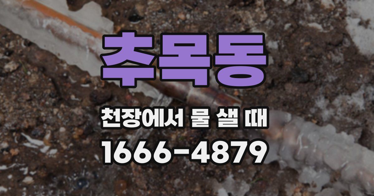 추목동 천장에서 물 샐 때