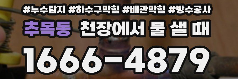 추목동 천장에서 물 샐 때