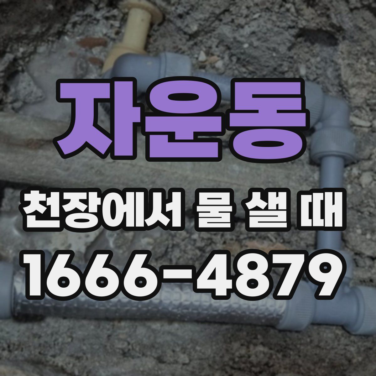 자운동 천장에서 물 샐 때